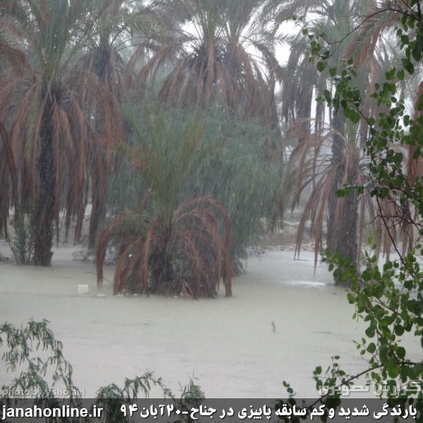 حال و هوای جناح در روز نزول کم سابقه باران رحمت الهی+۱۵عکس